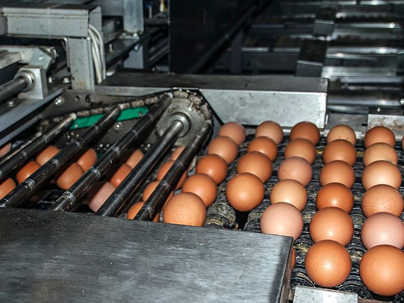 rod ends in egg bailing machine