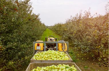 ss spacers for orchard machinery
