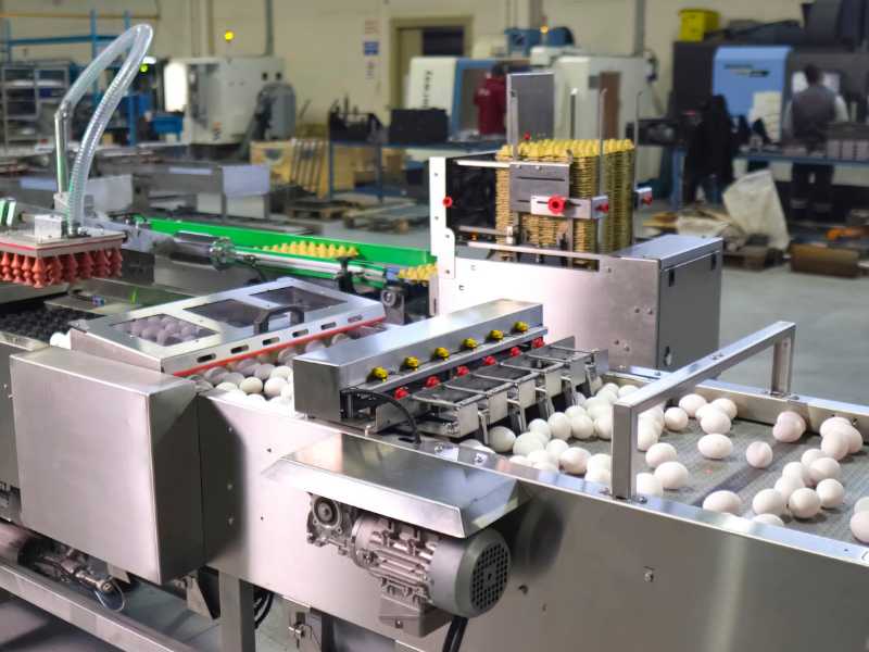 egg packaging machinery
